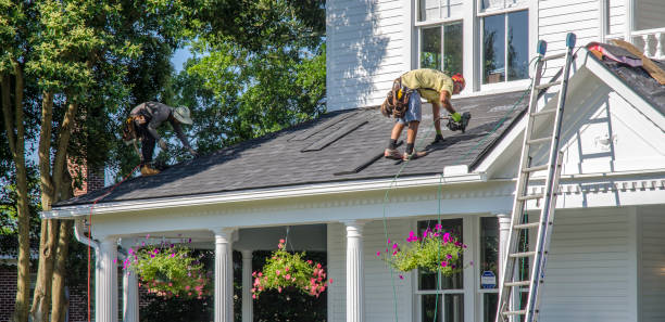 Roof Moss and Algae Removal in Bellingham, WA